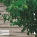 Сайдинг Ю-Пласт TIMBERBLOCK Пихта (Тимберблок) Cахалинская купить в Новочебоксарске