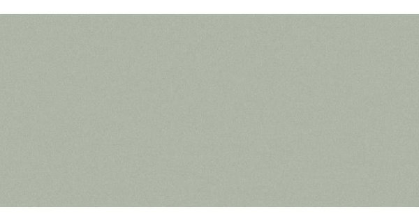 Сайдинг CEDRAL smooth (гладкий) С06 купить в Новочебоксарске